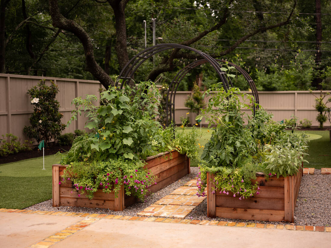 The Caroline Package: two cedar raised beds with black arch trellises beside a putting green